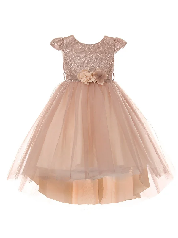 Versatile Style Wardrobe Little Girls Blush Glitter Hi-Low Flower Girl Dress 2-6